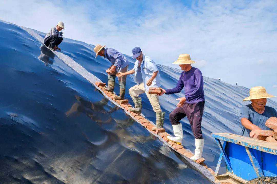 640 (3).jpg 640 (3).jpg